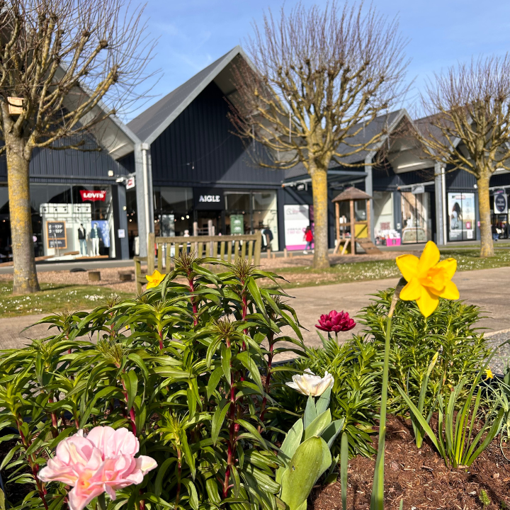 Espace extérieur LSO en 2026